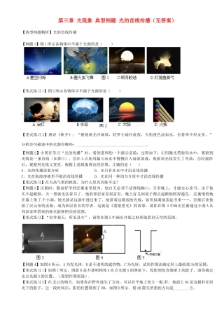 中考物理总复习 第三章 光现象 典型例题 光的直线传播试卷
