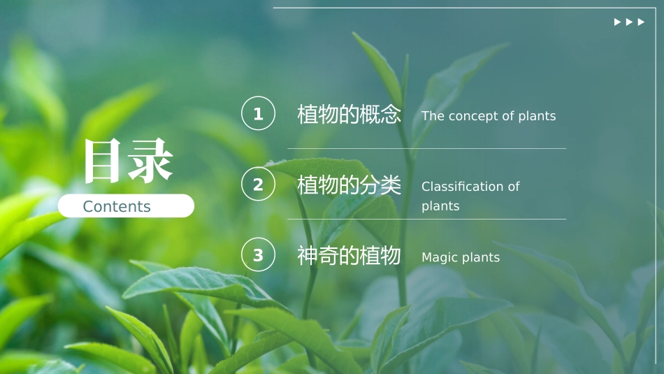 植物介绍笔记_第2页