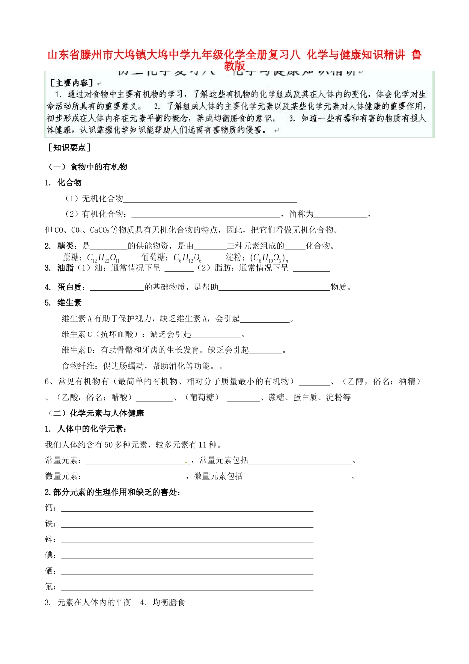 九年级化学全册复习八 化学与健康知识精讲 鲁教版试卷_第1页
