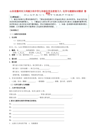 九年级化学全册复习八 化学与健康知识精讲 鲁教版试卷
