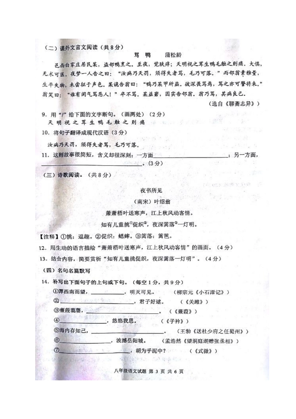 山东省济南市长清区 八年级语文下学期期中试卷新人教版试卷_第3页