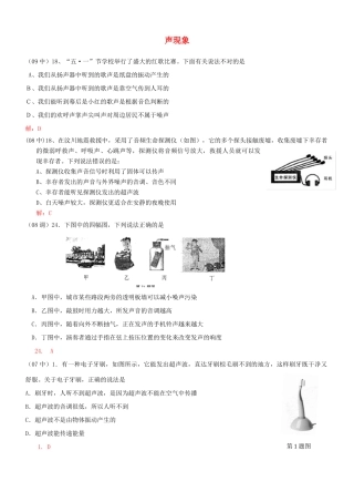 中考物理备考专训 声现象选择题(湖北黄冈)试卷