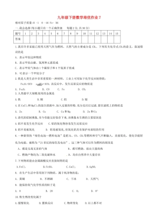 九年级化学下学期培优作业7 新人教版试卷