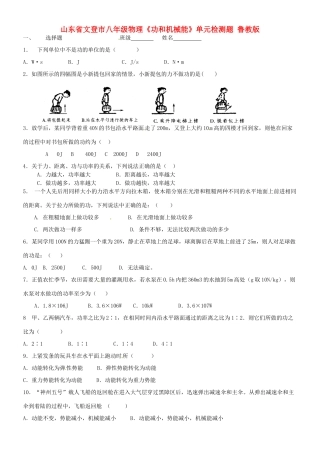 山东省文登市八年级物理(功和机械能)单元检测题 鲁教版试卷
