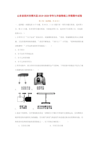 山东省滨州市博兴县九年级物理上学期期中试卷试卷
