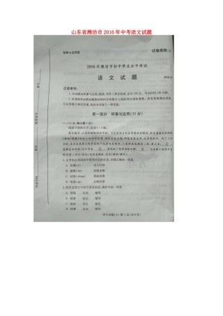 山东省潍坊市中考语文试卷试卷