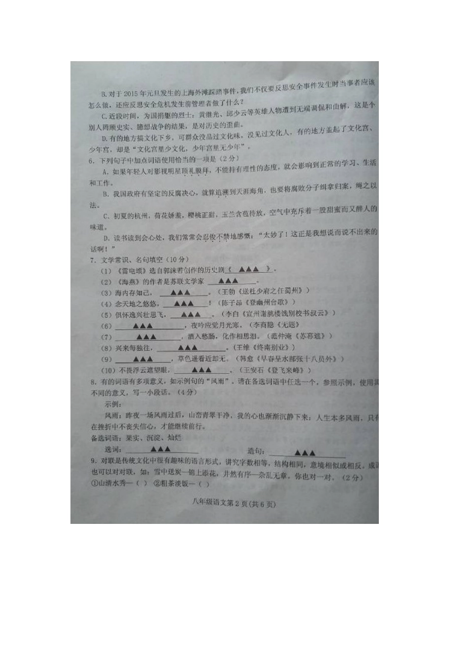 山东省临沂市沂水县 八年级语文下学期期中试卷新人教版试卷_第2页