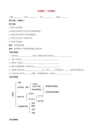 中考物理总复习 光现象试卷
