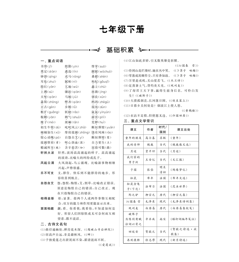 九年级下册(基础积累过关检测)(pdf) 苏教版试卷_第1页