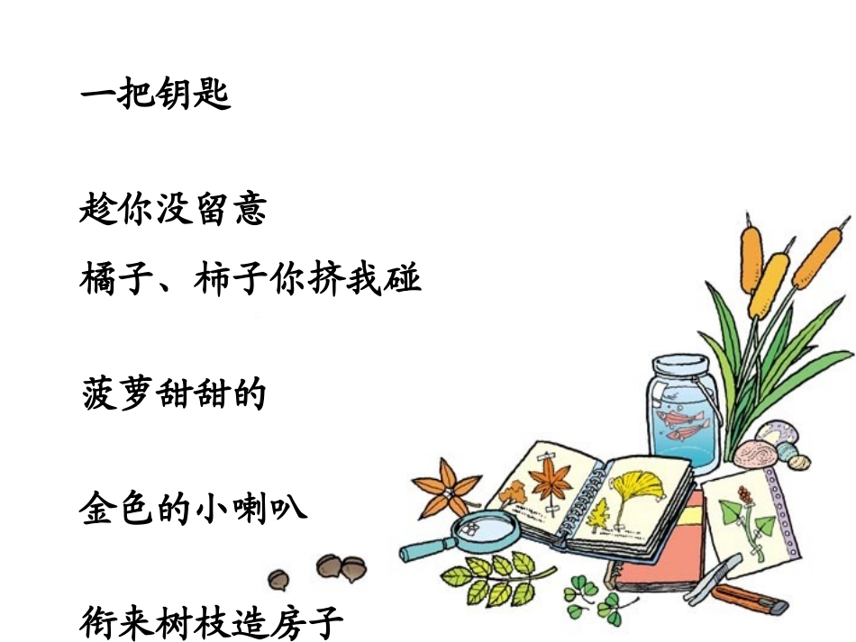 《秋天的雨》课件_第3页