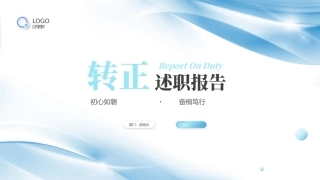 转正述职报告完整