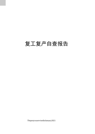 复工复产自查报告