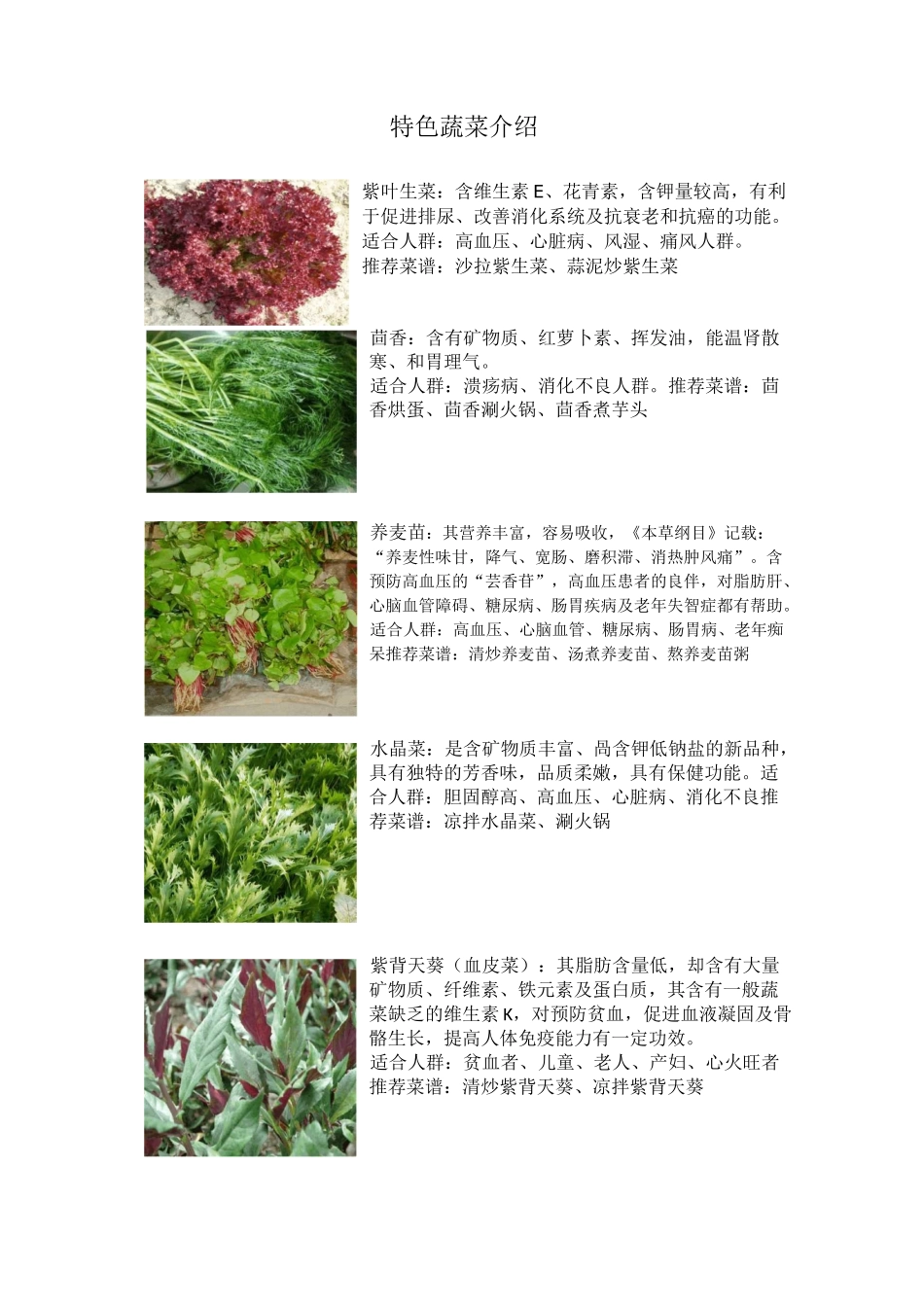 特色蔬菜野菜_第1页