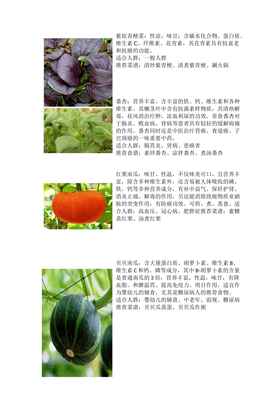 特色蔬菜野菜_第2页