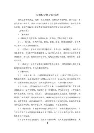 -大面积烧伤护理常规