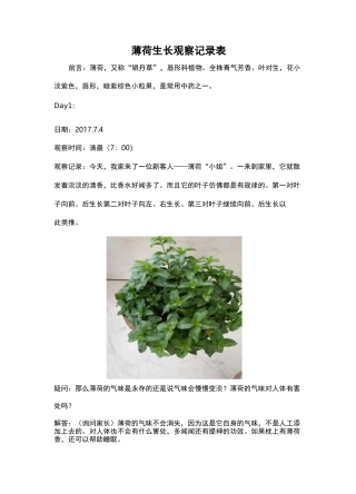 薄荷生长观察记录表