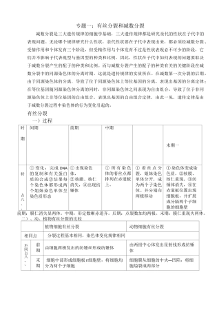 专题一：减数分裂和有丝分裂