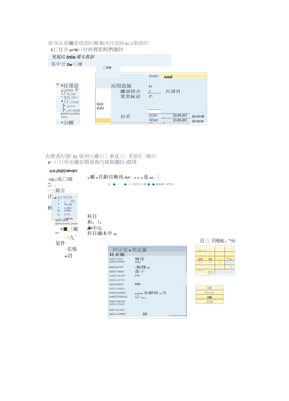 SAP校验与替代详解_第2页
