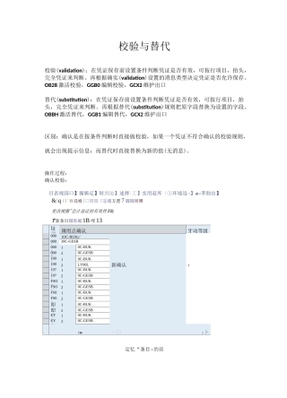 SAP校验与替代详解