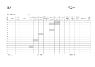 处方点评工作表完整
