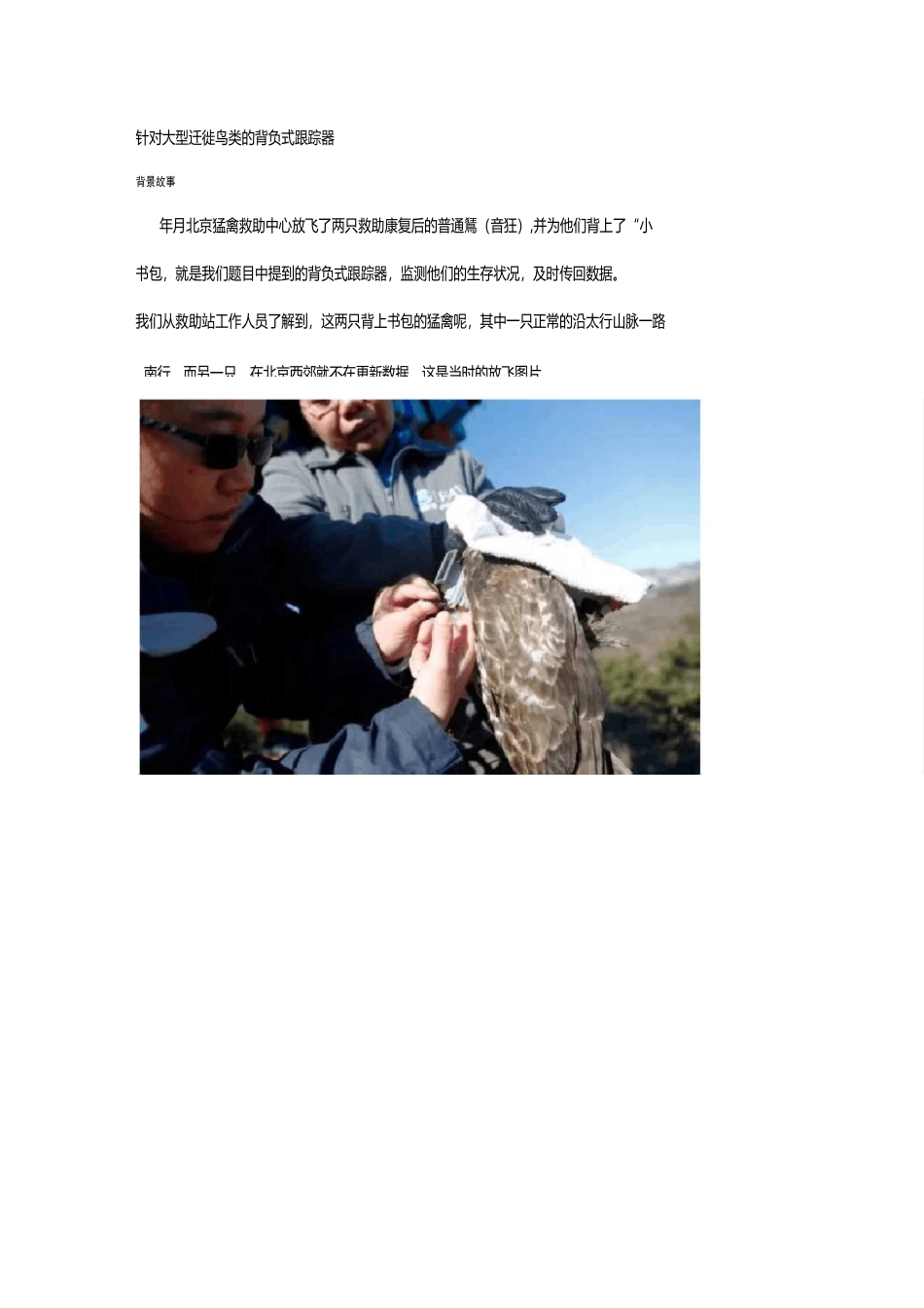 鸟类追踪相关整理_第1页