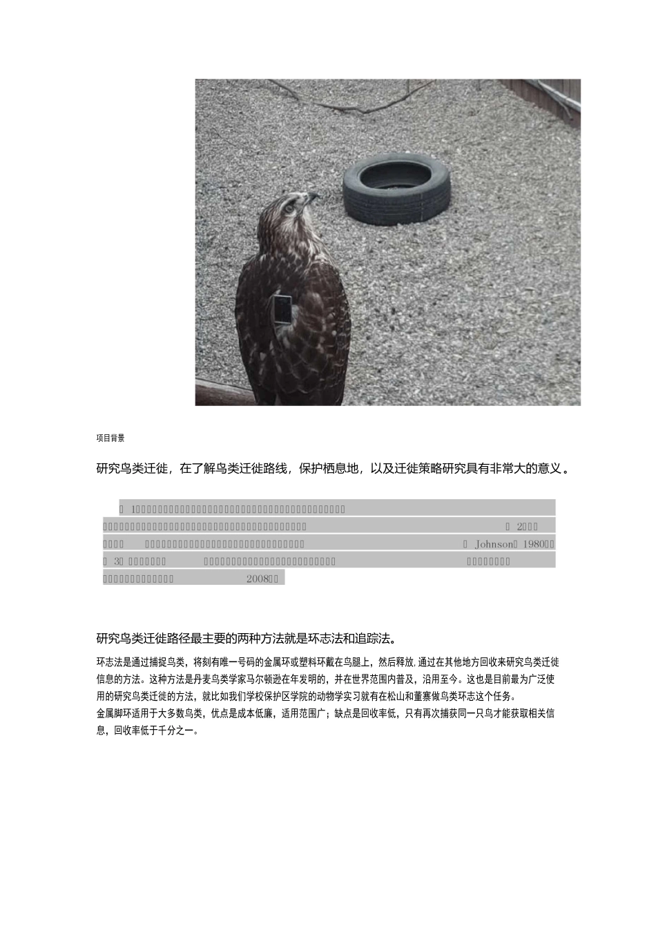 鸟类追踪相关整理_第2页