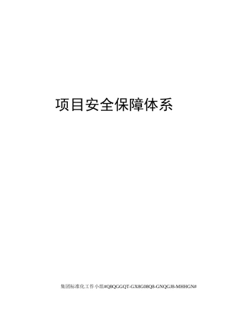 项目安全保障体系