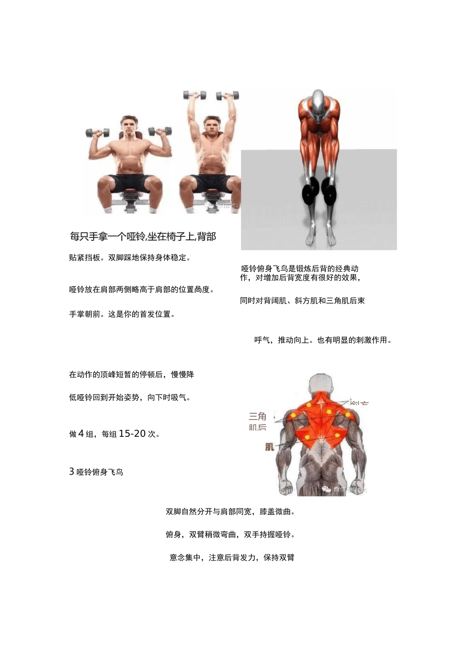 健身新手必备的饮食计划 健身计划_第2页