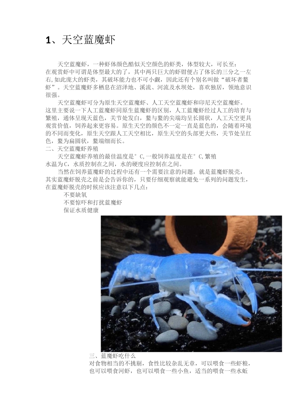 观赏水族——鳌虾类(附图)_第2页