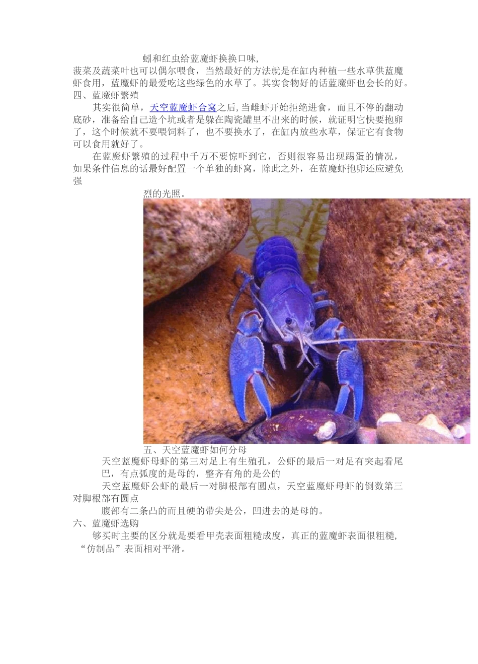 观赏水族——鳌虾类(附图)_第3页