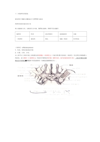 (完整版)十二对脑神经整理版