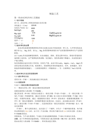 (工艺技术)制盐工艺