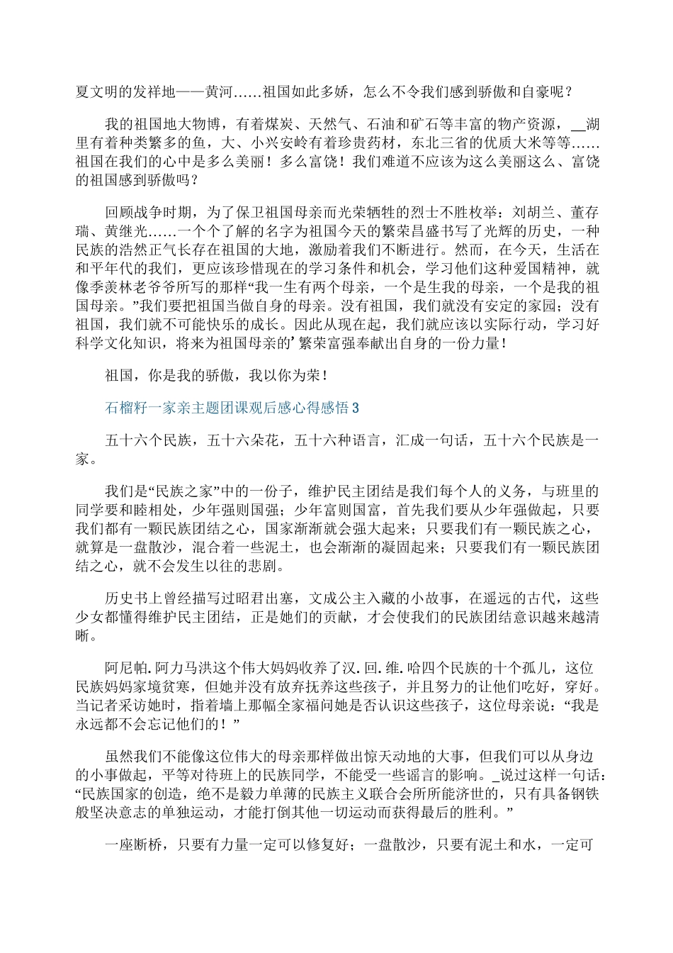 2021石榴籽一家亲主题团课观后感心得感悟20篇_第2页