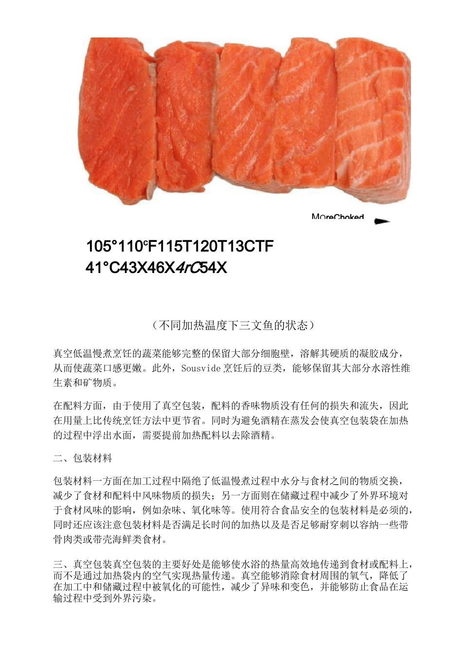 SousVide真空低温慢煮技术_第3页