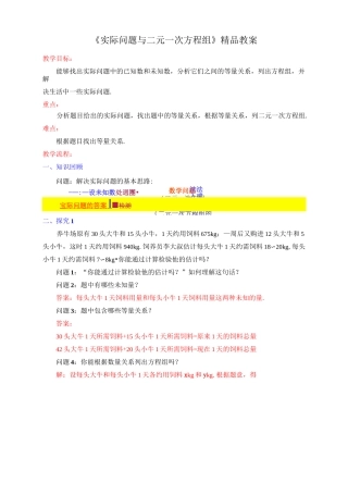《实际问题与二元一次方程组》精品教案