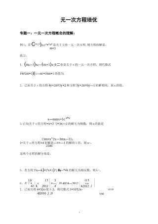 一元一次方程培优