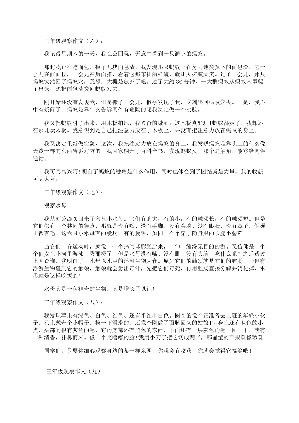 三年级观察作文20篇_第3页