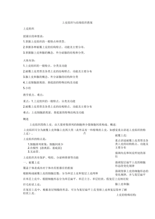 上皮组织与结缔组织教案
