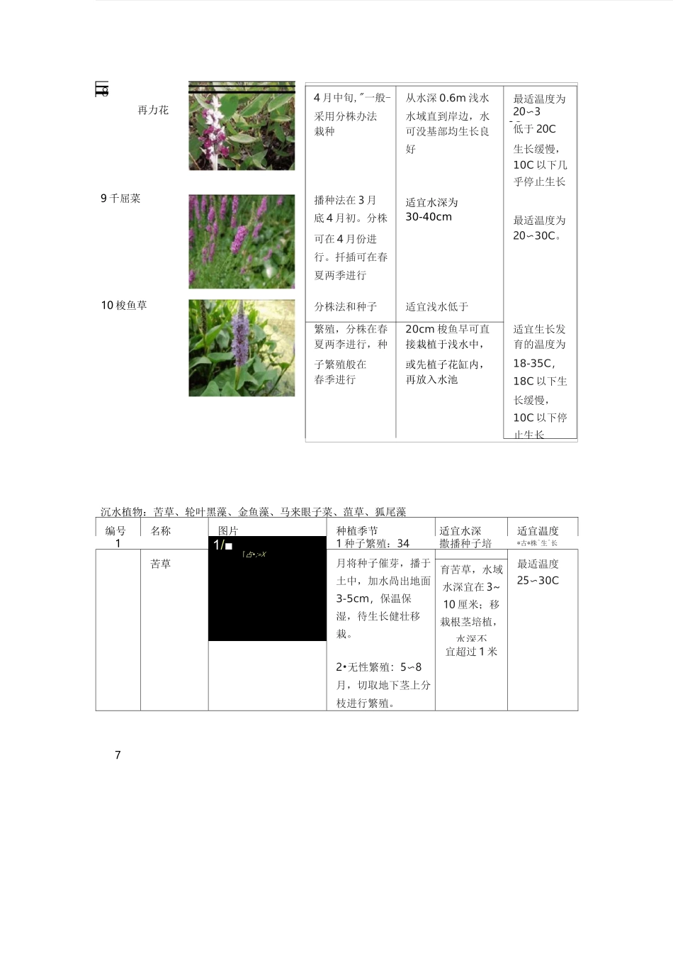 不同季节不同水深适合种植的水生植物选择_第2页