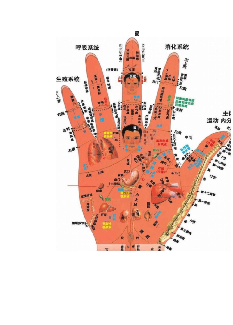 中医人体穴位图解大全_第2页