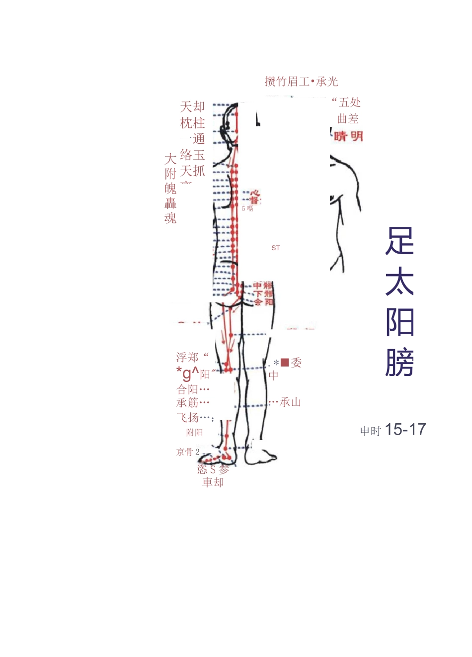 中医人体穴位图解大全_第3页