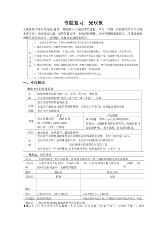 中考 专题复习：光现象
