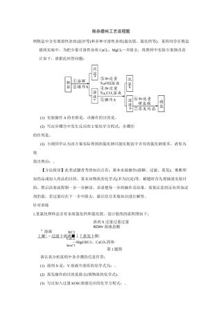 中考化学专题复习-----除杂提纯工艺流程题