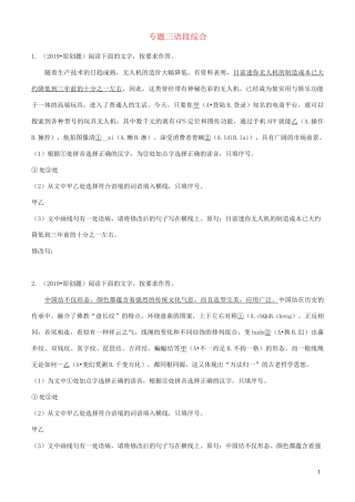 中考语文专题复习 语段综合习题