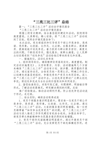 “三亮三比三评”总结