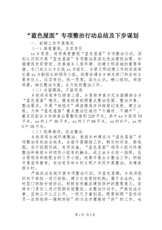 “蓝色屋面”专项整治行动总结及下步谋划