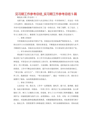 见习期工作参考总结_实习期工作参考总结5篇 