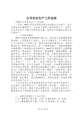 公司安全生产工作总结 (19)