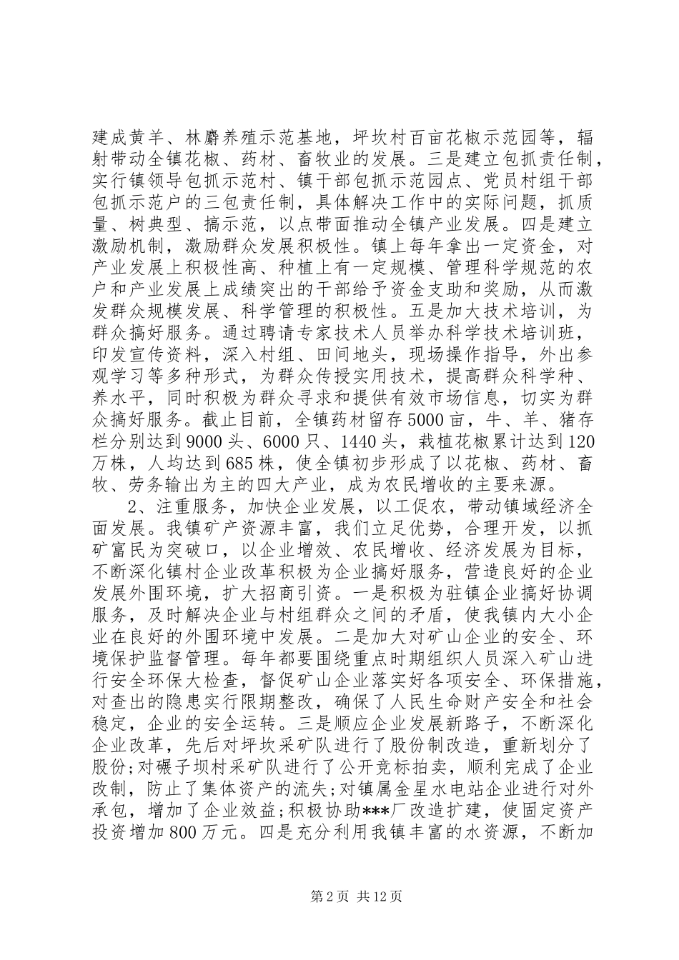 XX年乡镇党委班子届期工作总结_第2页