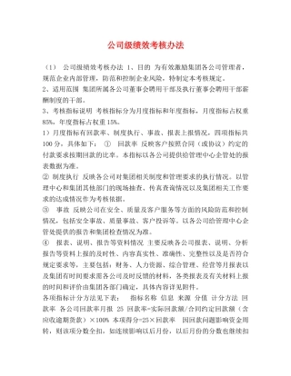 公司级绩效考核办法 